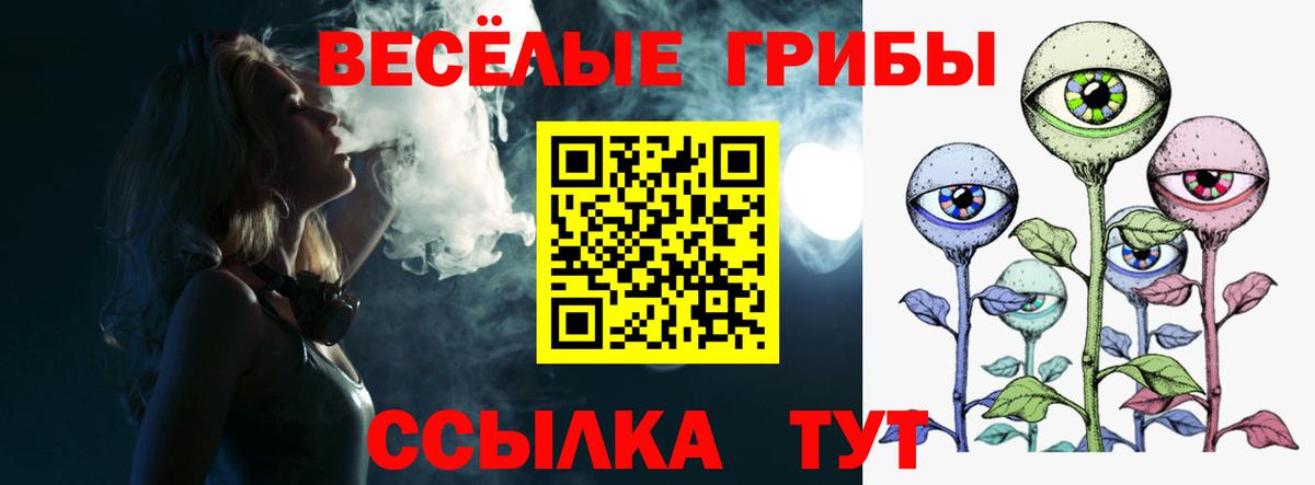 Галлюциногенные грибы Psilocybine cubensis Карачаевск