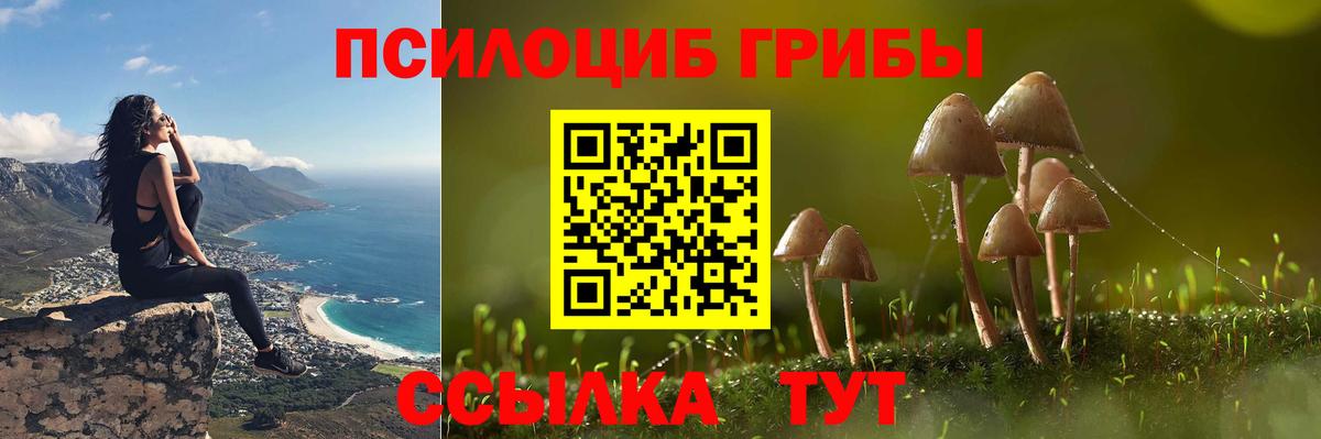 Карачаевск  Псилоцибиновые грибы GOLDEN TEACHER  Вход с VPN 